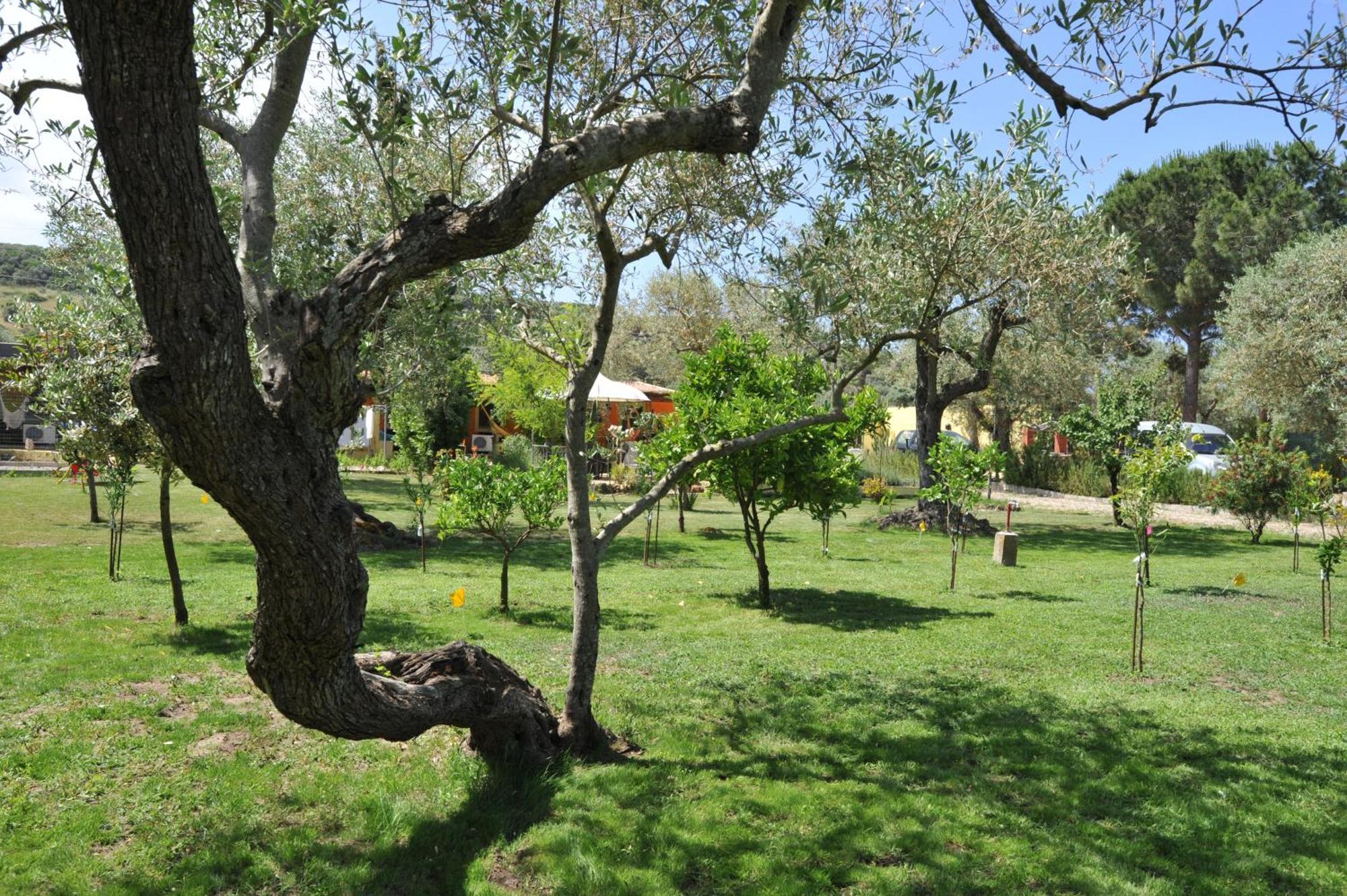 Butterfly House Bed & Breakfast Alghero Zewnętrze zdjęcie