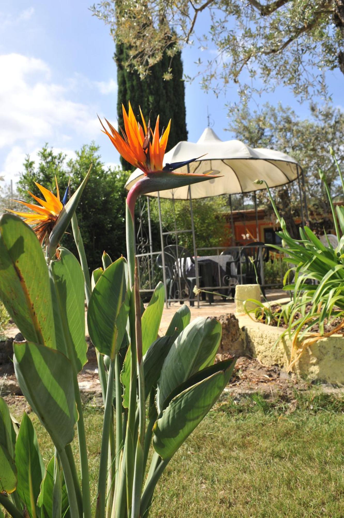 Butterfly House Bed & Breakfast Alghero Zewnętrze zdjęcie